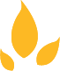 Icon Yellow